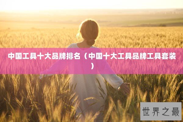 中国工具十大品牌排名（中国十大工具品牌工具套装）