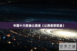 中国十大歌曲公勇者（公勇者歌歌曲）