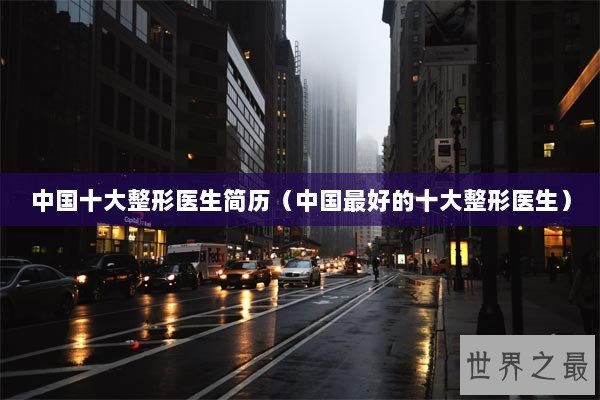 中国十大整形医生简历（中国最好的十大整形医生）