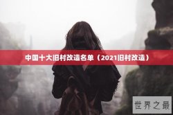 中国十大旧村改造名单（2021旧村改造）