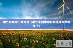 国外看中国十大高楼（老外来到中国看到此楼竟然看呆了）