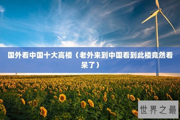 国外看中国十大高楼（老外来到中国看到此楼竟然看呆了）