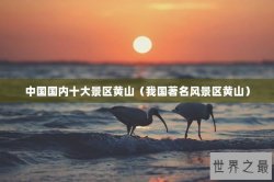 中国国内十大景区黄山（我国著名风景区黄山）