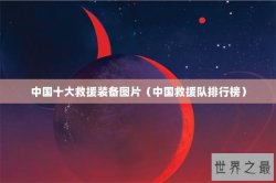 中国十大救援装备图片（中国救援队排行榜）