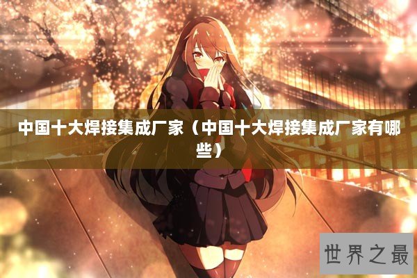 中国十大焊接集成厂家（中国十大焊接集成厂家有哪些）