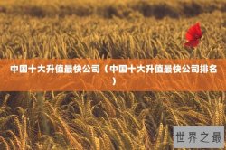 中国十大升值最快公司（中国十大升值最快公司排名）