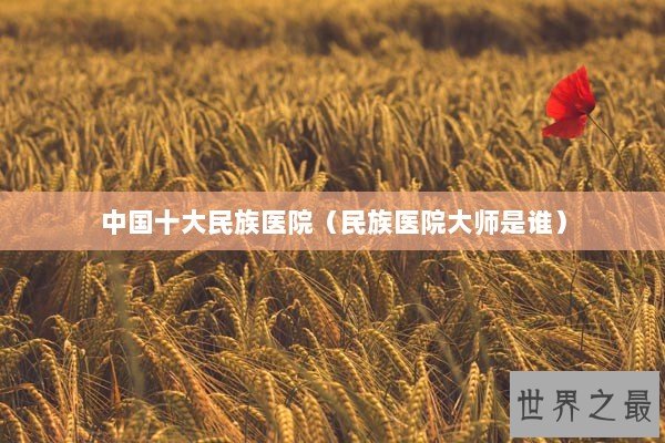中国十大民族医院（民族医院大师是谁）