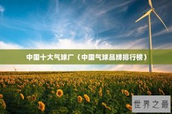 中国十大气球厂（中国气球品牌排行榜）