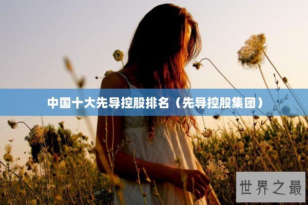 中国十大先导控股排名（先导控股集团）