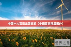 中国十大富豪出国旅游（中国富豪移居国外）