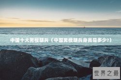 中国十大男模胡兵（中国男模胡兵身高是多少?）