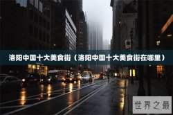 洛阳中国十大美食街（洛阳中国十大美食街在哪里）