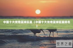 中国十大传奇篮球巨星（中国十大传奇篮球巨星排名）