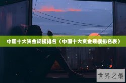 中国十大资金规模排名（中国十大资金规模排名表）