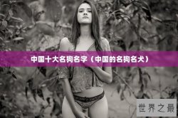 中国十大名狗名字（中国的名狗名犬）