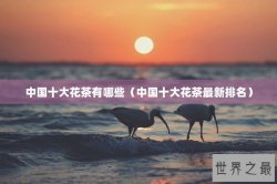 中国十大花茶有哪些（中国十大花茶最新排名）