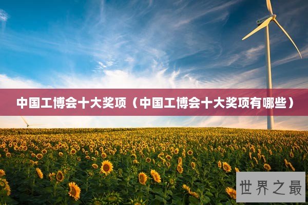 中国工博会十大奖项（中国工博会十大奖项有哪些）