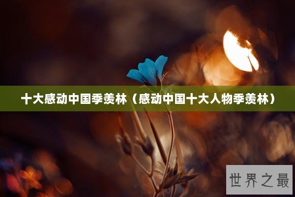 十大感动中国季羡林（感动中国十大人物季羡林）