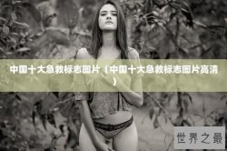 中国十大急救标志图片（中国十大急救标志图片高清）