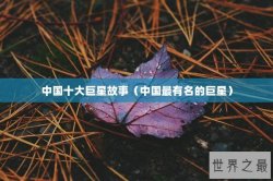中国十大巨星故事（中国最有名的巨星）