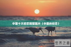 中国十大初恋脸型图片（中国的初恋）