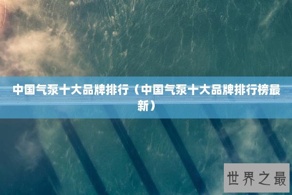 中国气泵十大品牌排行（中国气泵十大品牌排行榜最新）