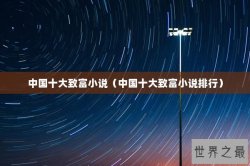 中国十大致富小说（中国十大致富小说排行）