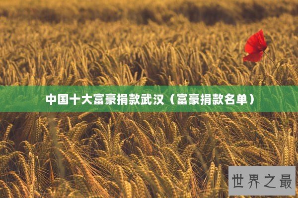 中国十大富豪捐款武汉（富豪捐款名单）