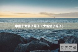 中国十大鸽子笼子（大型鸽子笼子）