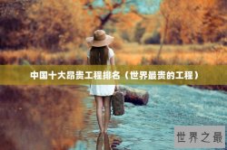 中国十大昂贵工程排名（世界最贵的工程）