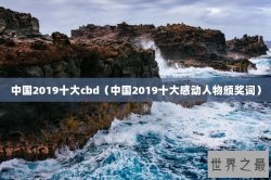 中国2019十大cbd（中国2019十大感动人物颁奖词）
