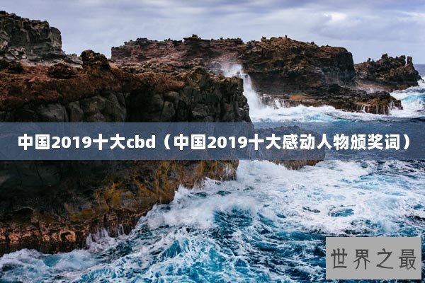 中国2019十大cbd（中国2019十大感动人物颁奖词）