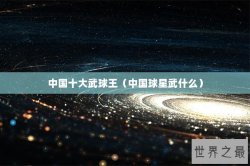 中国十大武球王（中国球星武什么）