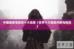 中国陶瓷电饭煲十大品牌（世界十大陶瓷内胆电饭煲）