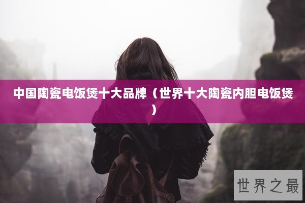 中国陶瓷电饭煲十大品牌（世界十大陶瓷内胆电饭煲）