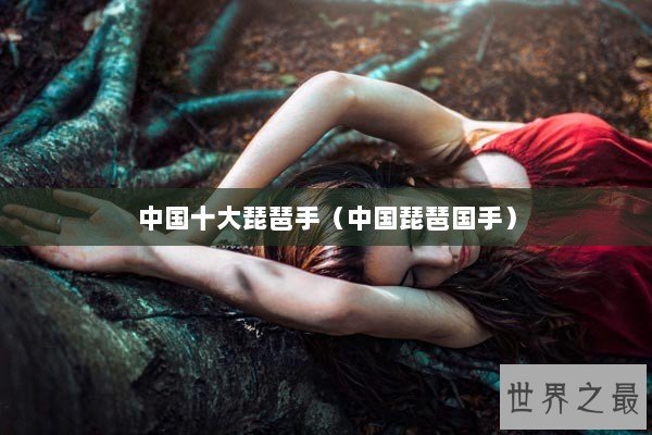 中国十大琵琶手（中国琵琶国手）