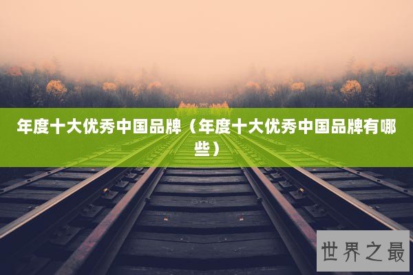 年度十大优秀中国品牌（年度十大优秀中国品牌有哪些）