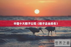 中国十大粽子公司（粽子企业排名）