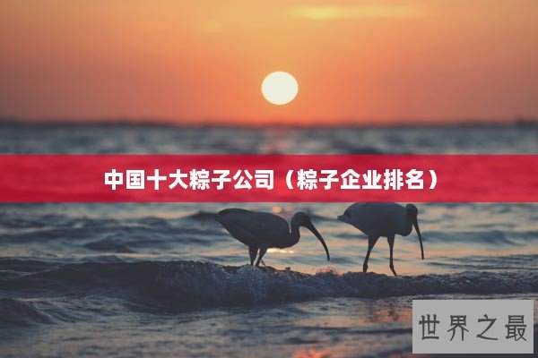 中国十大粽子公司（粽子企业排名）