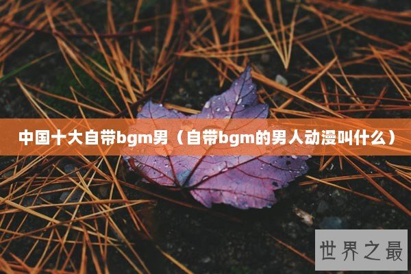 中国十大自带bgm男（自带bgm的男人动漫叫什么）