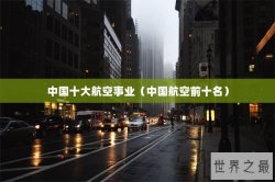 中国十大航空事业（中国航空前十名）