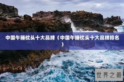 中国午睡枕头十大品牌（中国午睡枕头十大品牌排名）