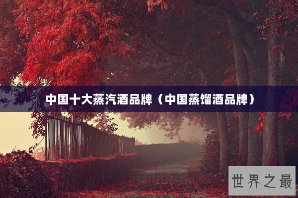 中国十大蒸汽酒品牌（中国蒸馏酒品牌）