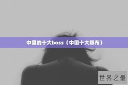 中国的十大boss（中国十大爆布）