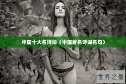 中国十大名诗词（中国著名诗词名句）