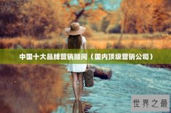 中国十大品牌营销顾问（国内顶级营销公司）