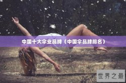 中国十大伞业品牌（中国伞品牌排名）