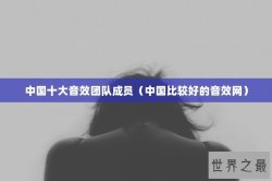 中国十大音效团队成员（中国比较好的音效网）