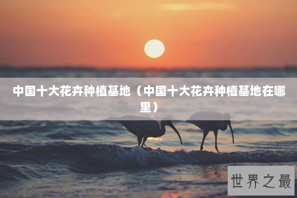 中国十大花卉种植基地（中国十大花卉种植基地在哪里）