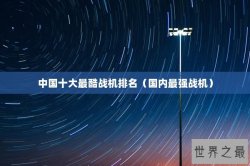中国十大最酷战机排名（国内最强战机）